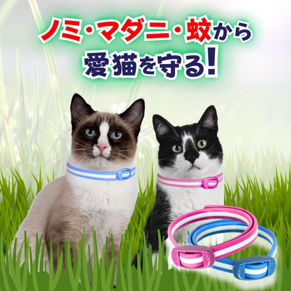 【ペット】薬用ノミ・マダニとり＆蚊よけ首輪 猫用 ピンク