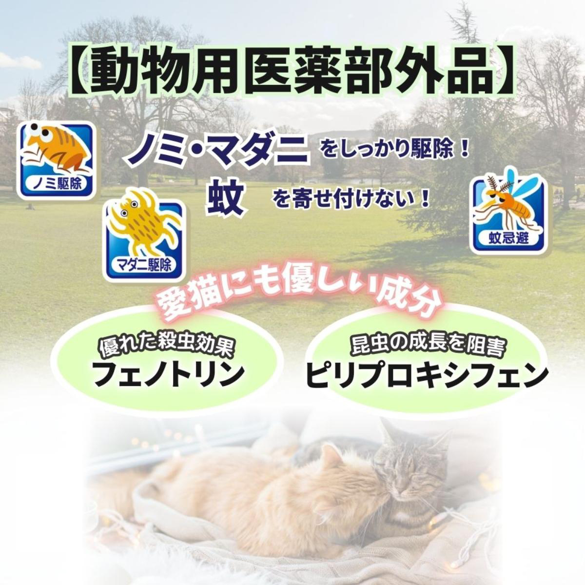 【ペット】薬用ノミ・マダニとり＆蚊よけ首輪 猫用 ピンク
