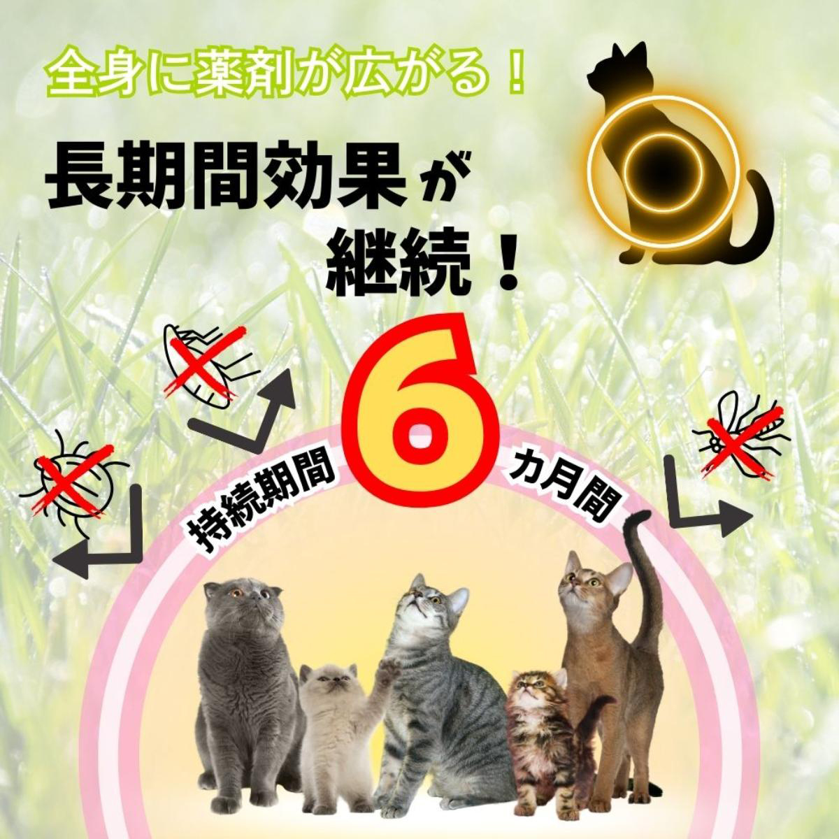 【ペット】薬用ノミ・マダニとり＆蚊よけ首輪 猫用 ピンク