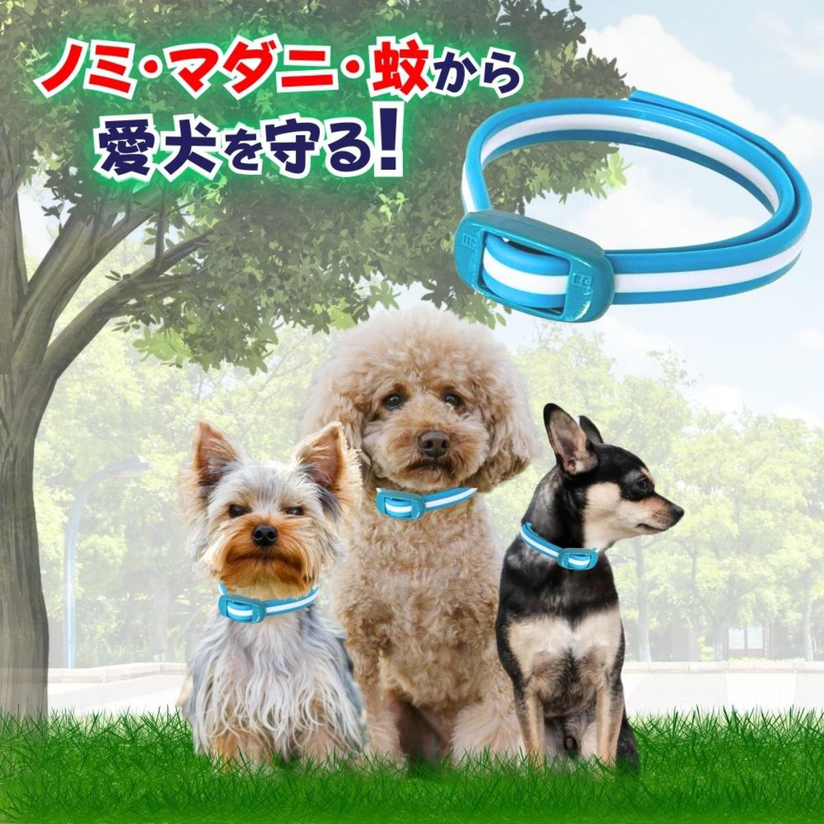 【ペット】薬用ノミ・マダニとり＆蚊よけ首輪 小型犬用