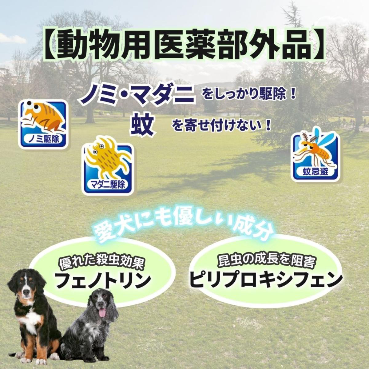 【ペット】薬用ノミ・マダニとり＆蚊よけ首輪 小型犬用