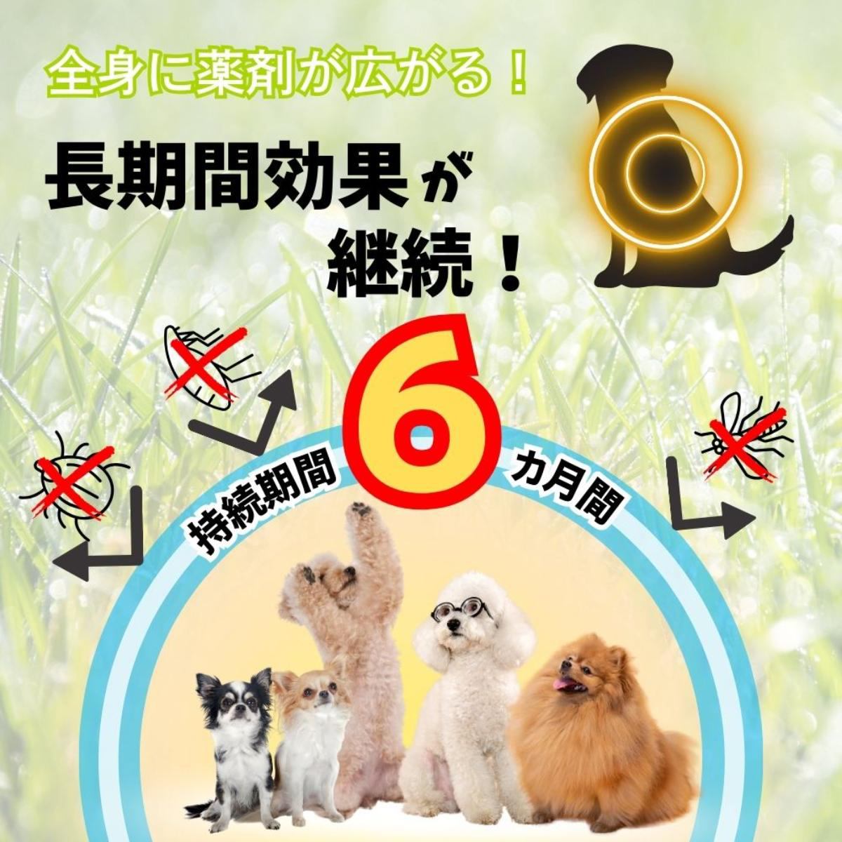 【ペット】薬用ノミ・マダニとり＆蚊よけ首輪 小型犬用