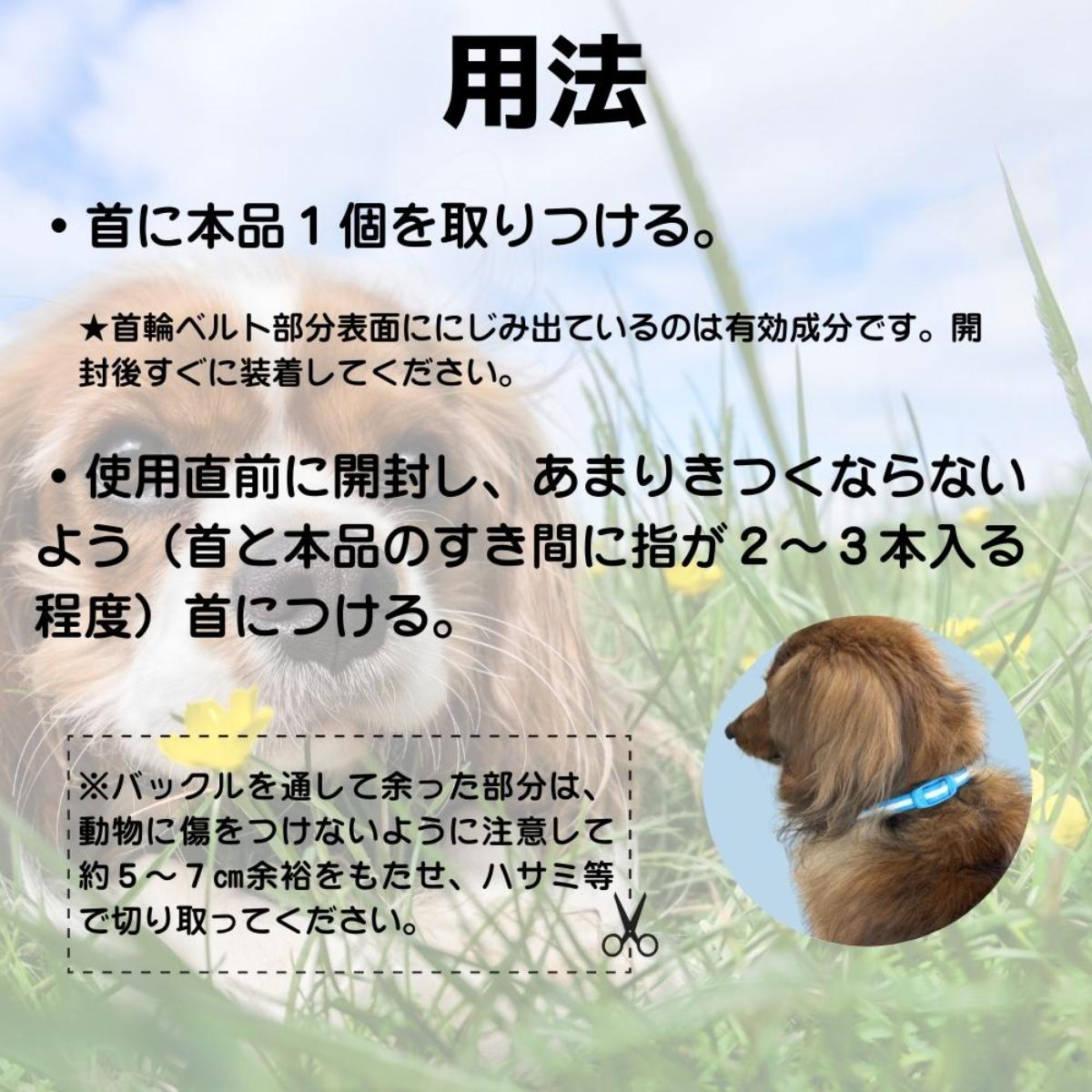 【ペット】薬用ノミ・マダニとり＆蚊よけ首輪 小型犬用