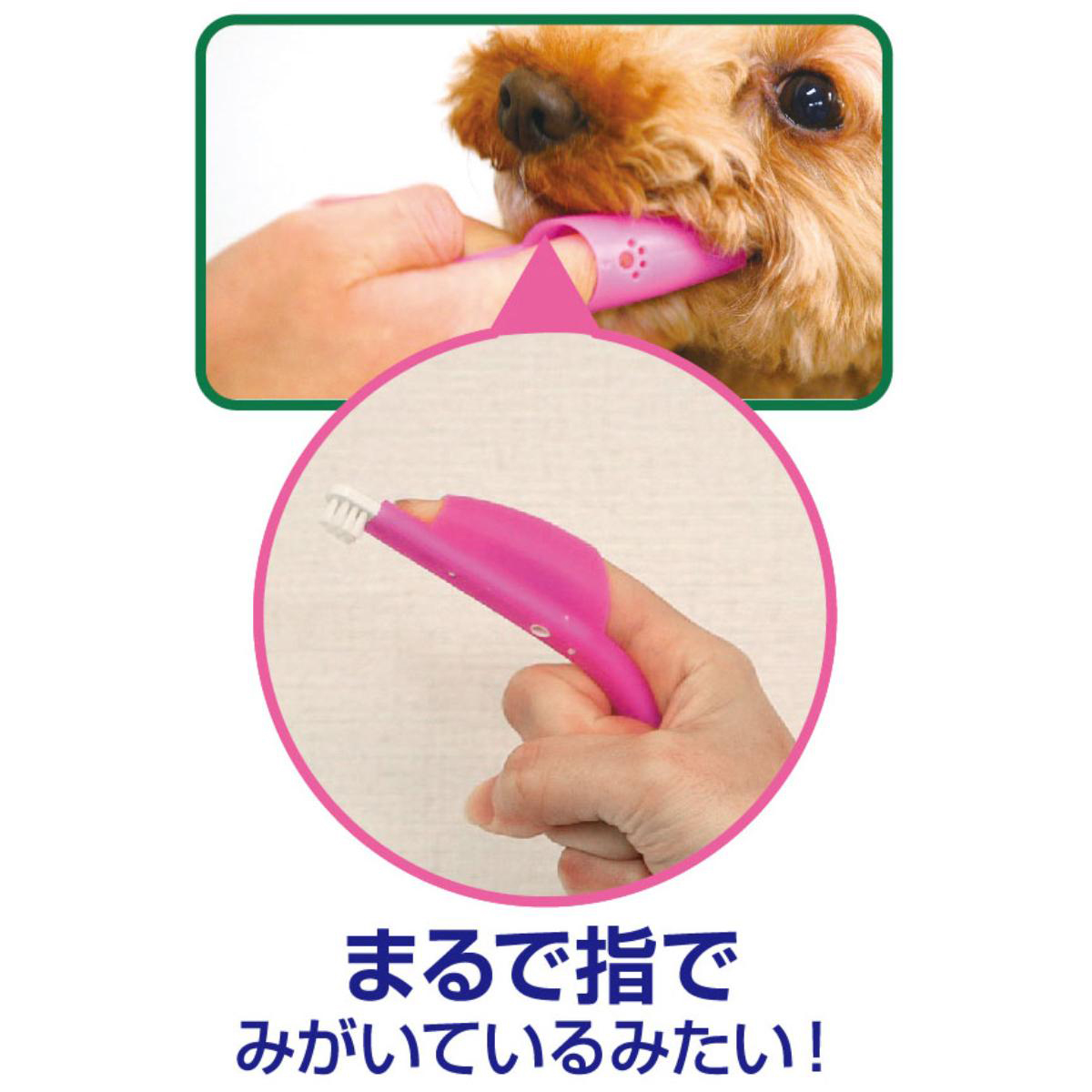【ペット】PETKISS 指サック歯ブラシ