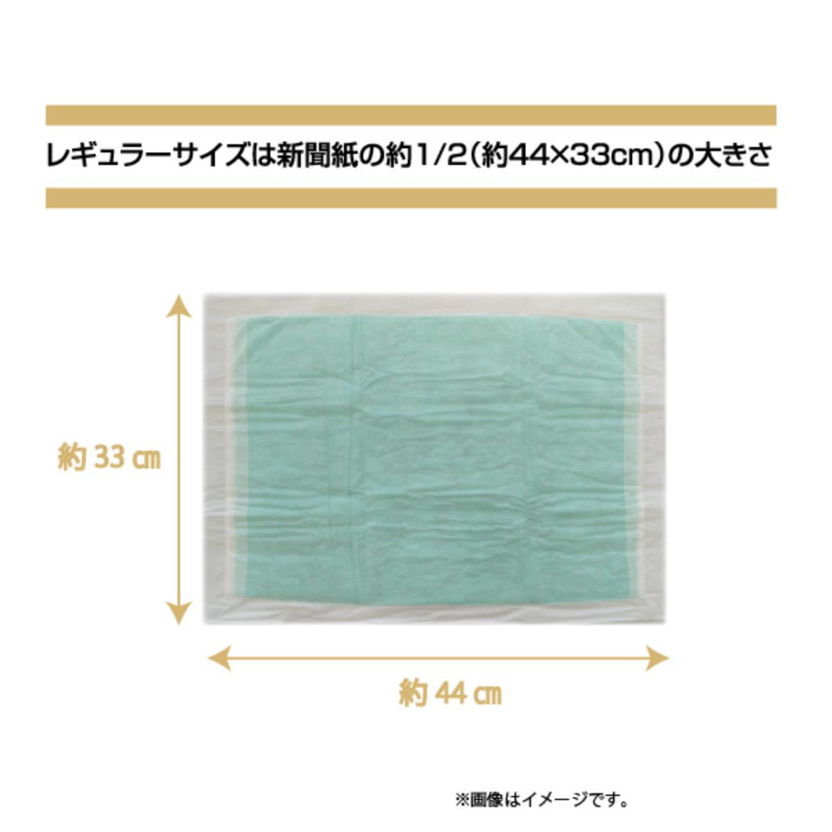 【ペット】消臭炭シート ダブルストップ レギュラー 80枚