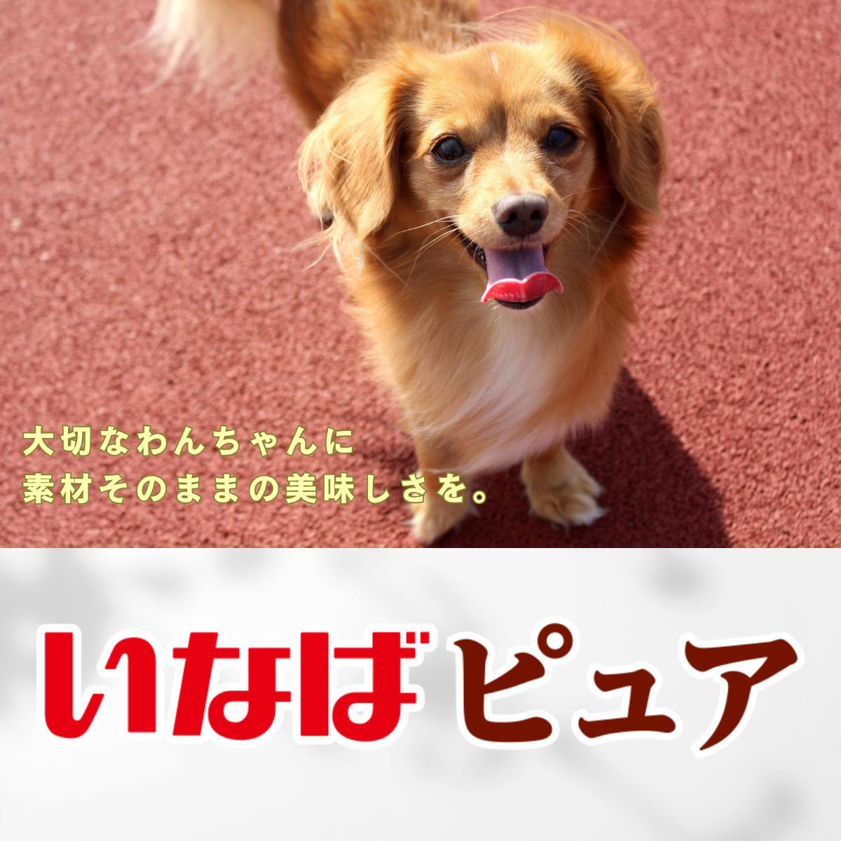 【ペット】いなば ピュアパウチ とりささみ ビーフ入 30g 270405