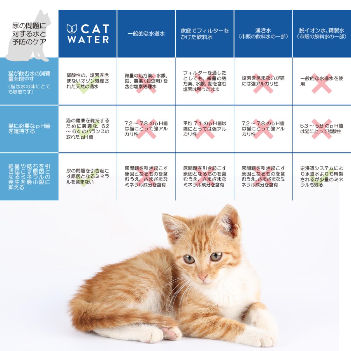 【ペット】ｐＨバランス　キャット　ウォーター　５００ｍｌ