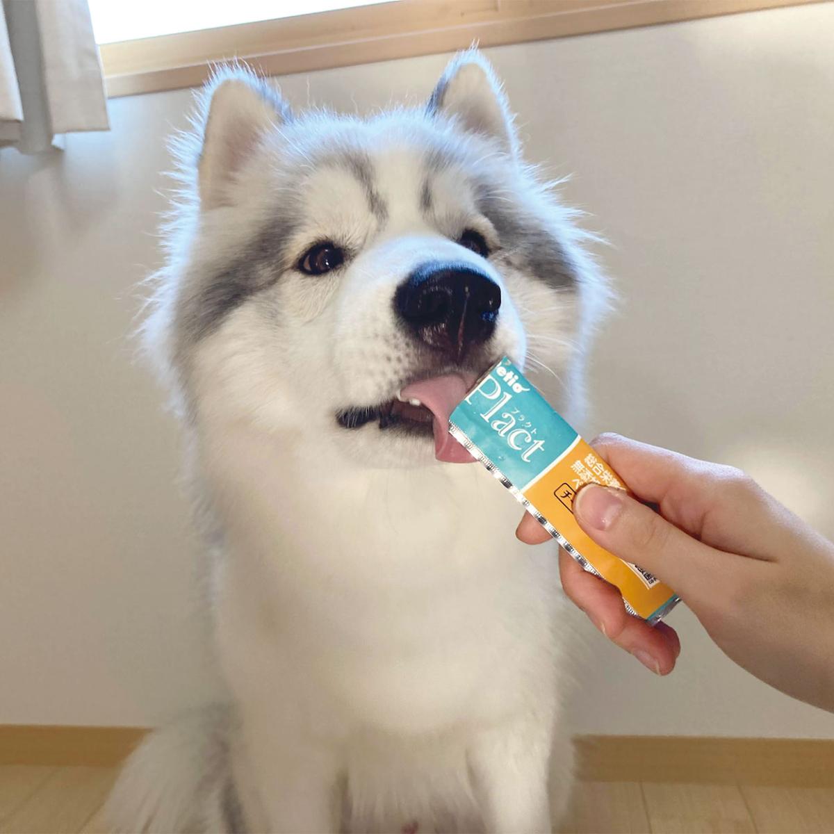 【ペット】プラクト　総合栄養食　無添加　ササミペースト　ササミ味　８本入