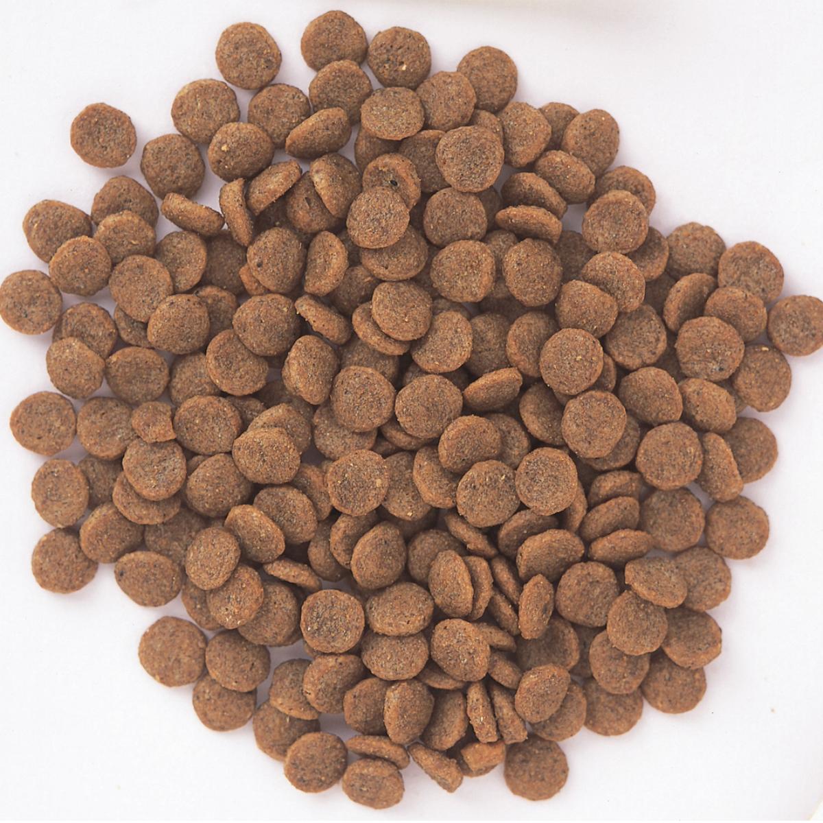 【ペット】Ｓｕｐｅｒｇｏｌｄ　フィッシュ＆ポテト　ダイエットライト　２．４ｋｇ