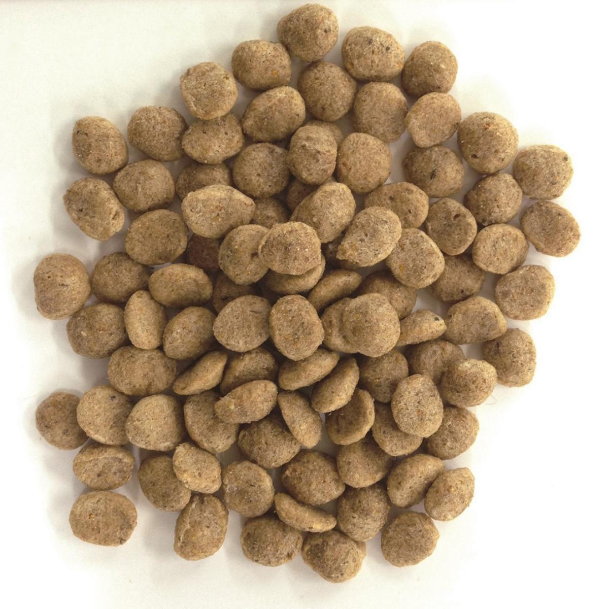 【ペット】Ｓｕｐｅｒｇｏｌｄ　フィッシュ＆ポテト　プラスライト　肥満・関節の健康に配慮　２．４ｋｇ