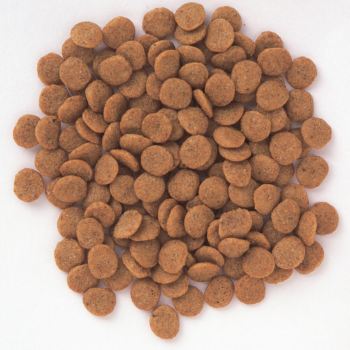 【ペット】Ｓｕｐｅｒｇｏｌｄ　フィッシュ＆ポテト　シニアライト　７．５ｋｇ