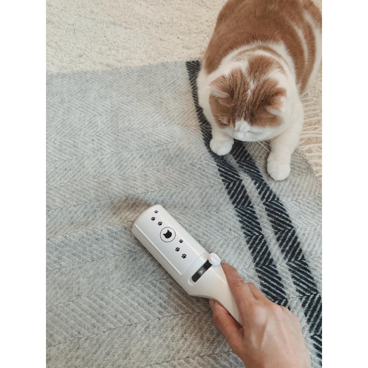 【ペット】抜け毛取りワイパー