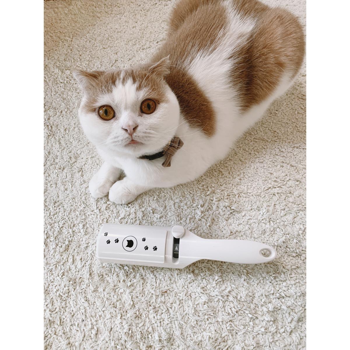 【ペット】抜け毛取りワイパー