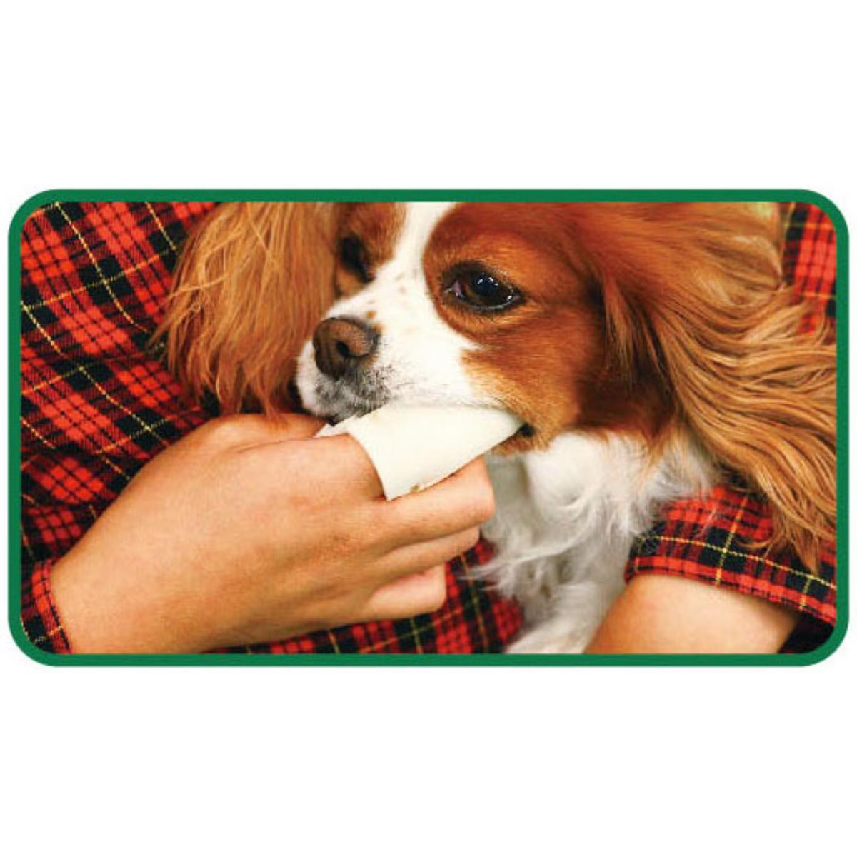 【ペット】ＰＥＴＫＩＳＳ　すき間もみがける波型フィンガー歯ブラシ　スリムタイプ　２枚