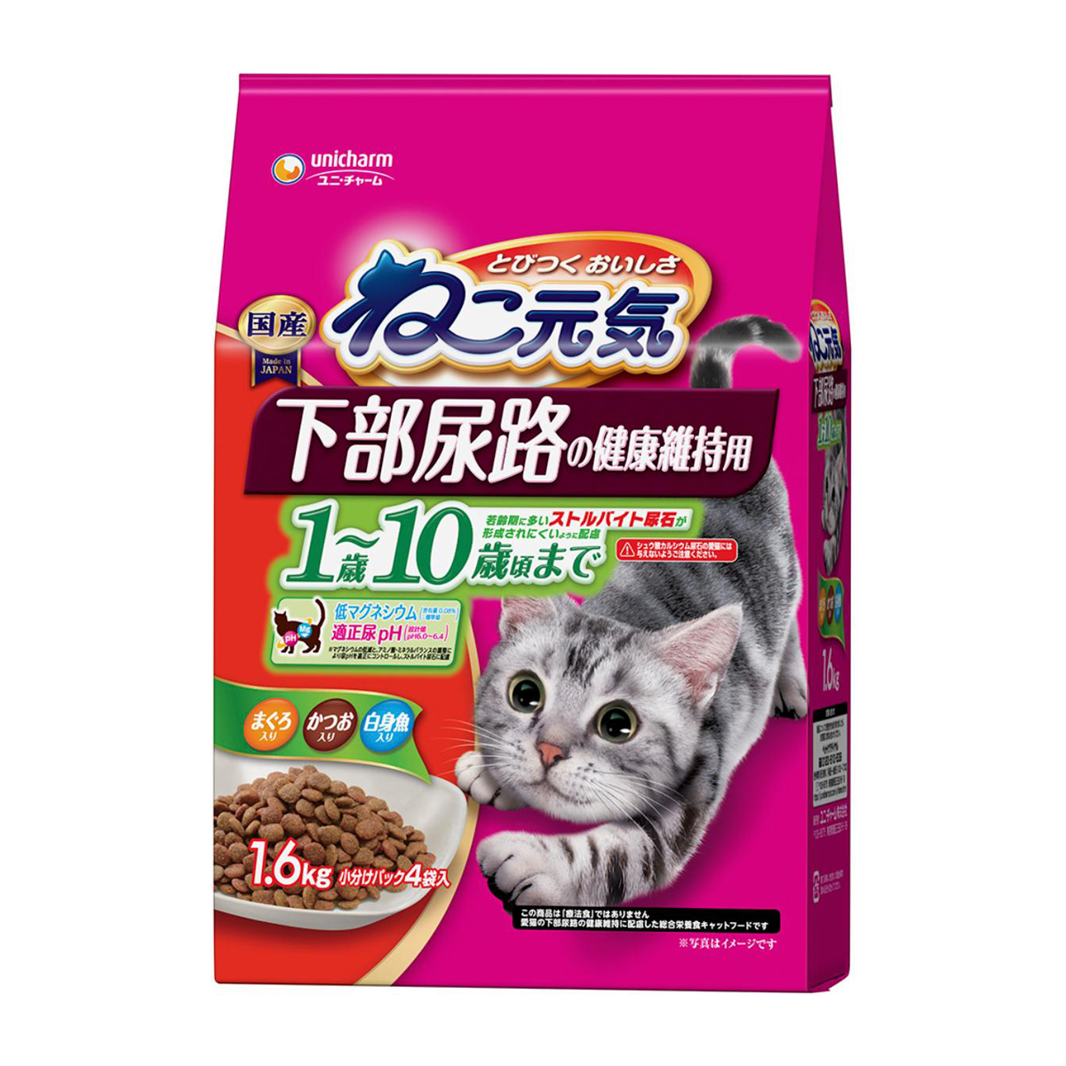 猫 | かぜとゆきオンラインショップ