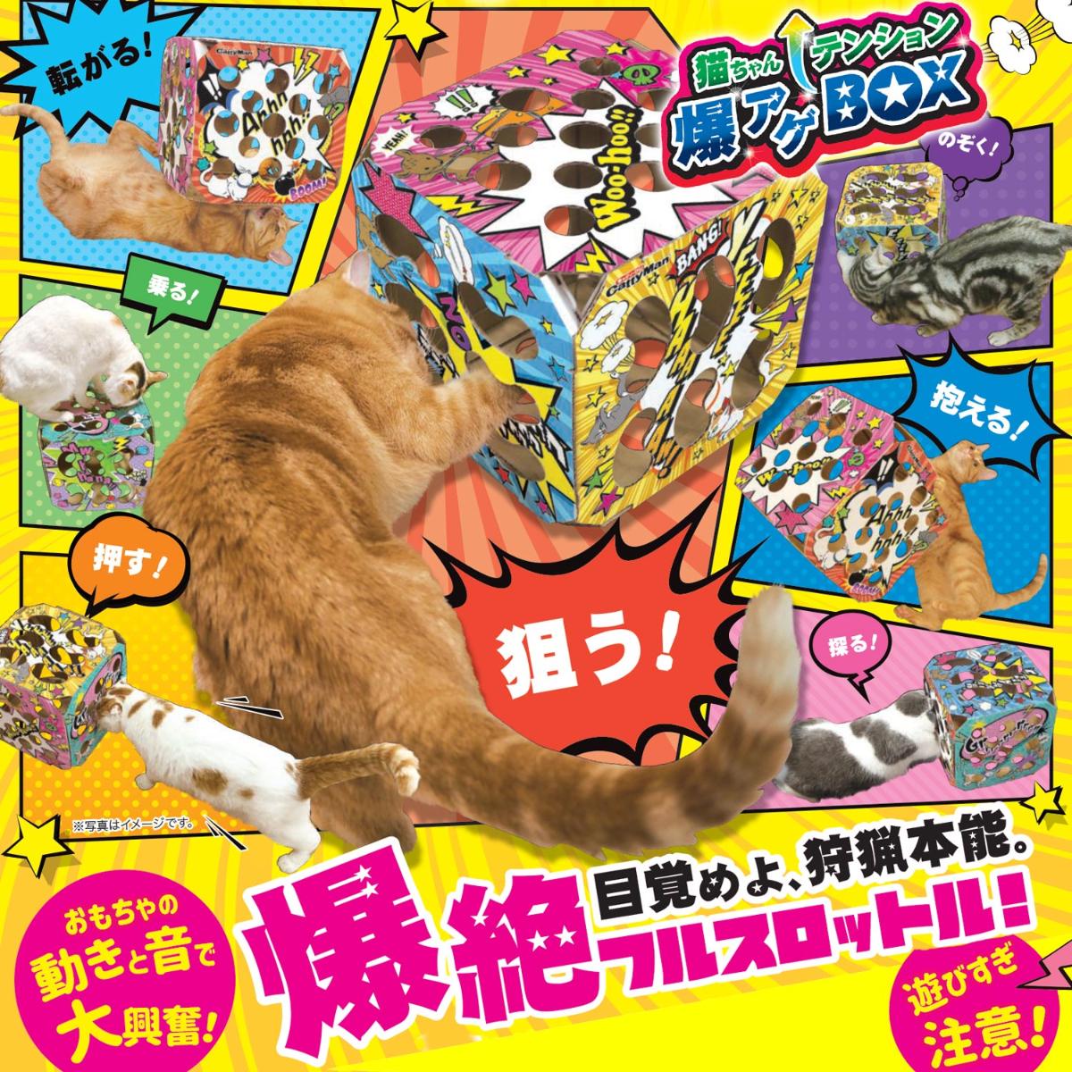 ペット】猫ちゃんテンション爆アゲBOX | かぜとゆきオンラインショップ