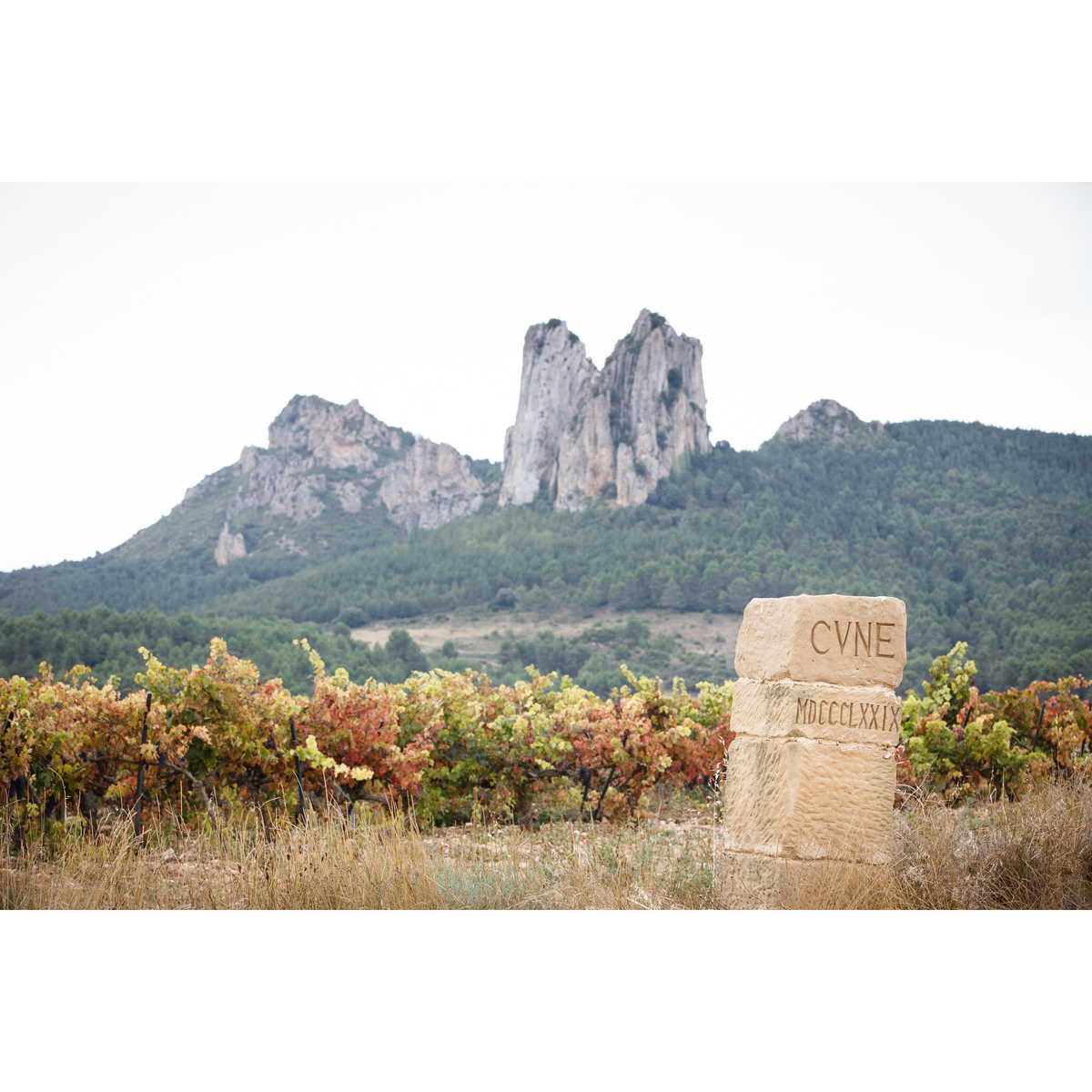 C.V.N.E.(クネ)インペリアル　グラン・レセルバ  750ml【赤ワイン　スペイン】