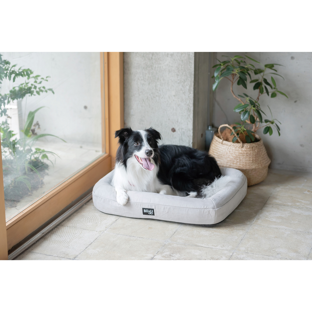 BlisUペットベッド　Mサイズ
