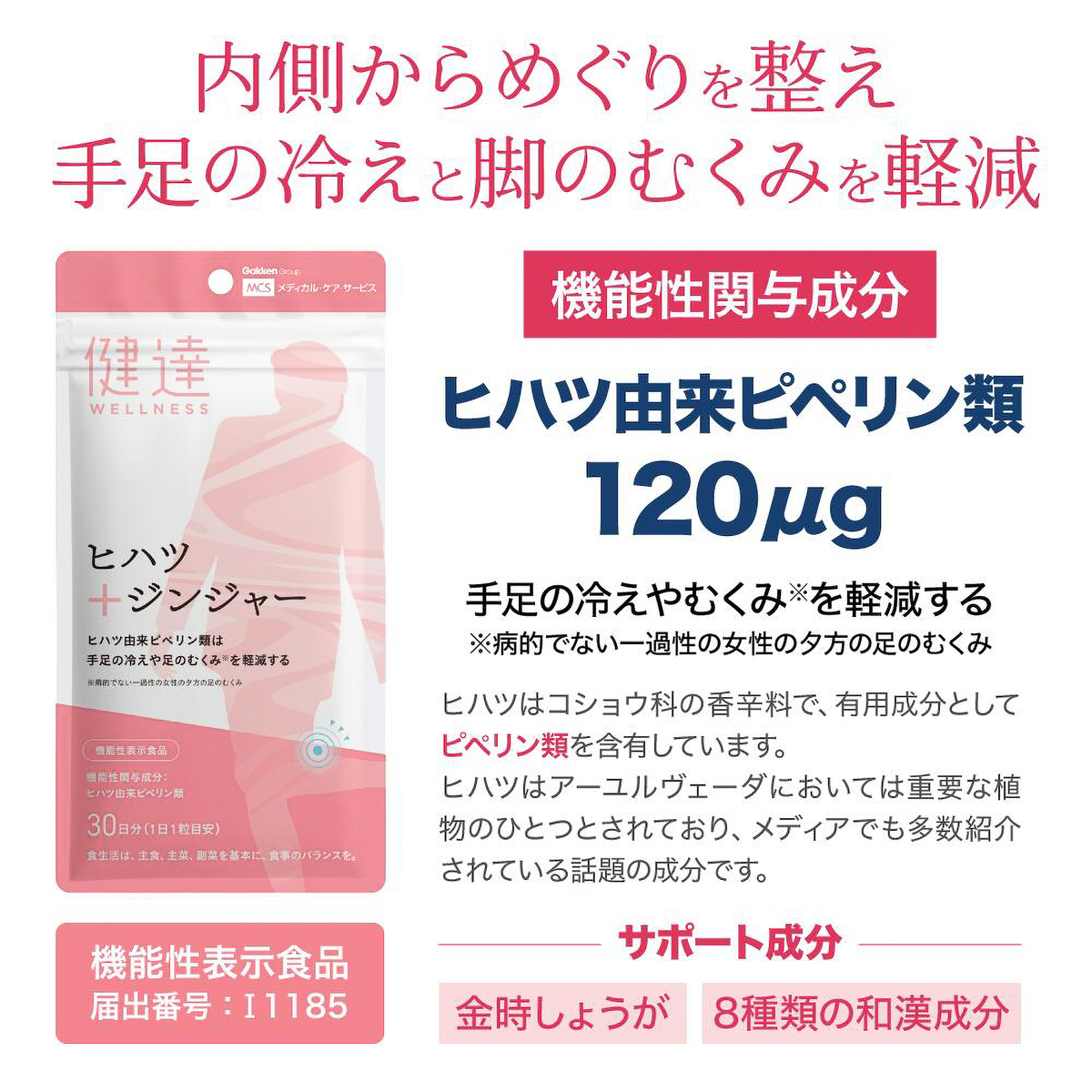 健達　ヒハツジンジャー　(錠剤)