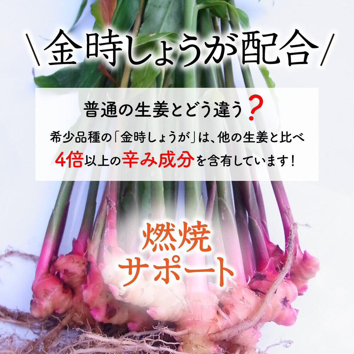 健達　ヒハツジンジャー　(錠剤)