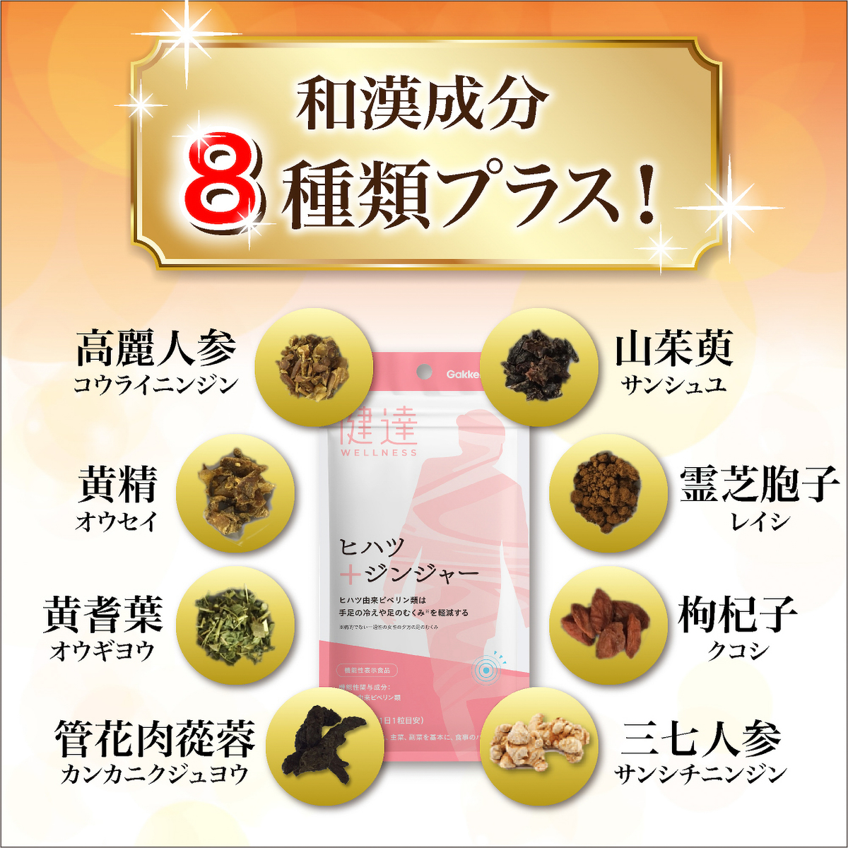 健達　ヒハツジンジャー　(錠剤)