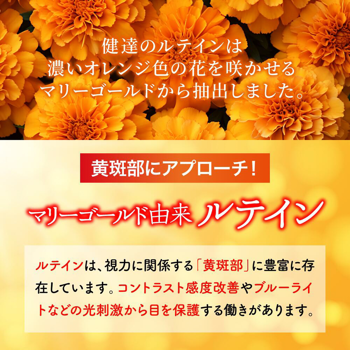 健達　ルテイン　(ソフトカプセル) 260522