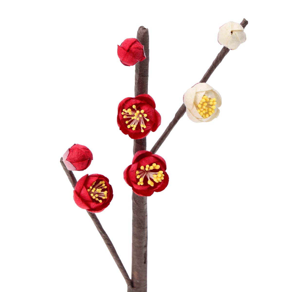 紅白梅耳花生 紅白梅耳花生 紅白梅耳花生 紅白梅耳花生 青磁鳳凰耳花生