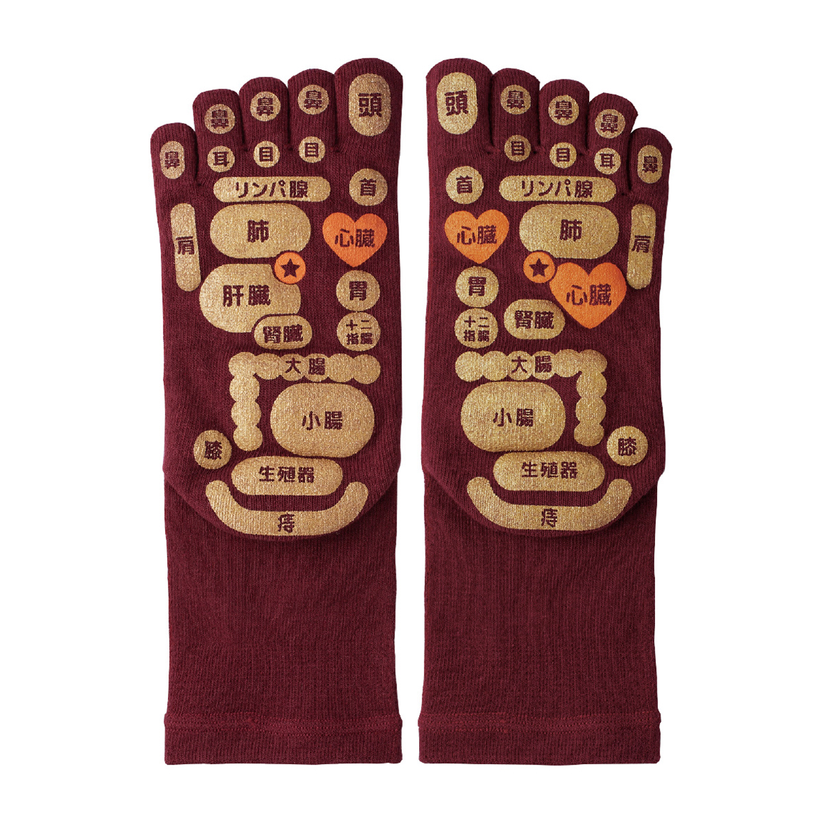 TSUBOレシピPLUS両面足つぼ5本指ソックス 22-25cm