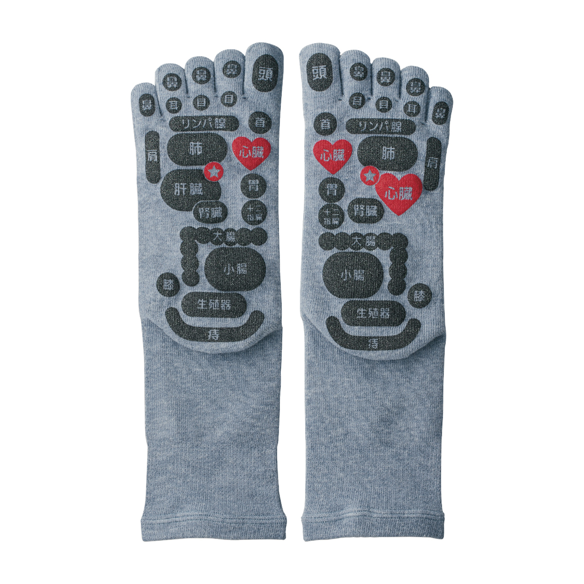 TSUBOレシピPLUS両面足つぼ5本指ソックス 25-27cm