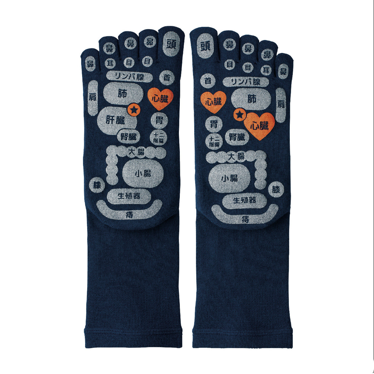 TSUBOレシピPLUS両面足つぼ5本指ソックス 25-27cm