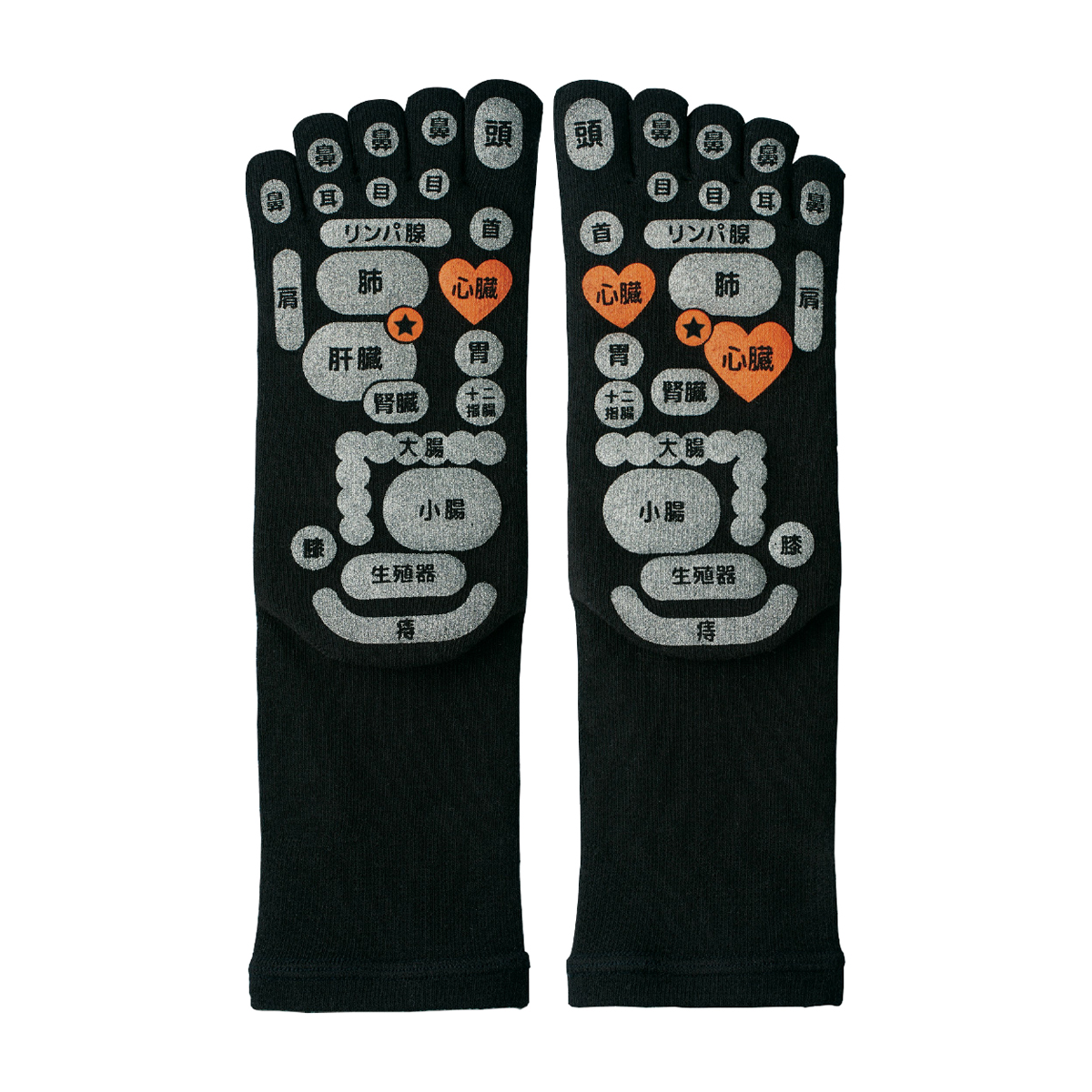 TSUBOレシピPLUS両面足つぼ5本指ソックス 25-27cm