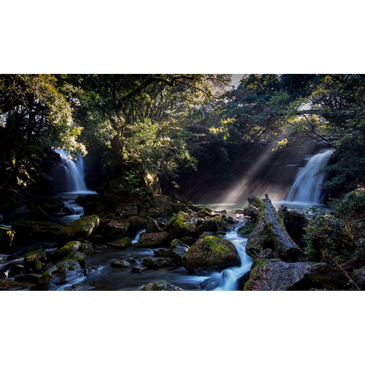 【新月水　新嘗】　プレミアムシリカ水