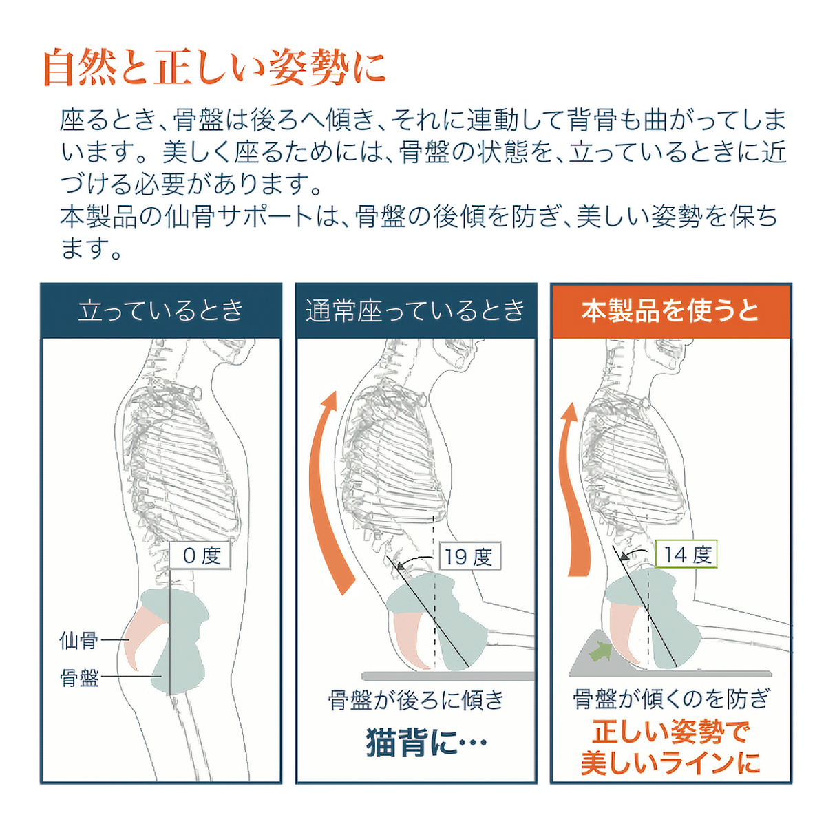仙骨サポート座布団