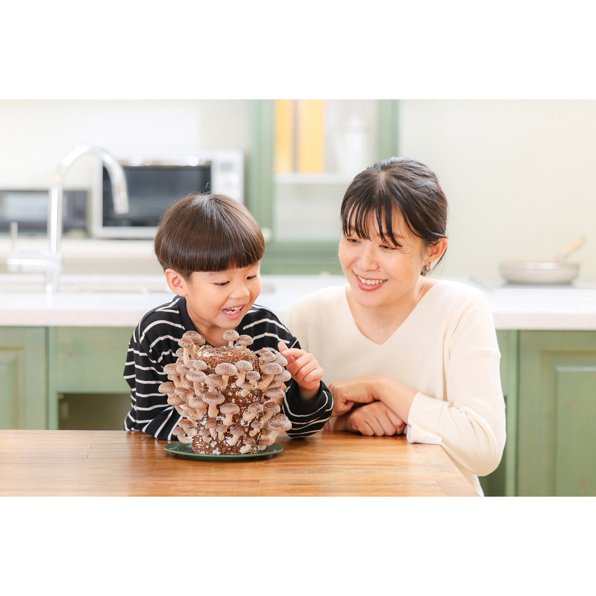【直送】もりのしいたけ農園