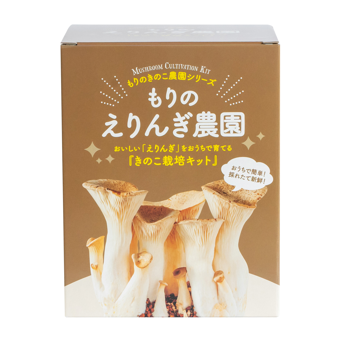 【直送】もりのえりんぎ農園