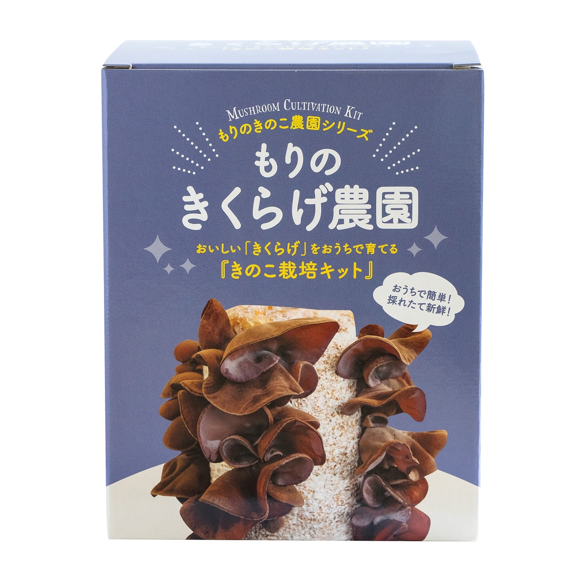きくらげ 栽培 キット