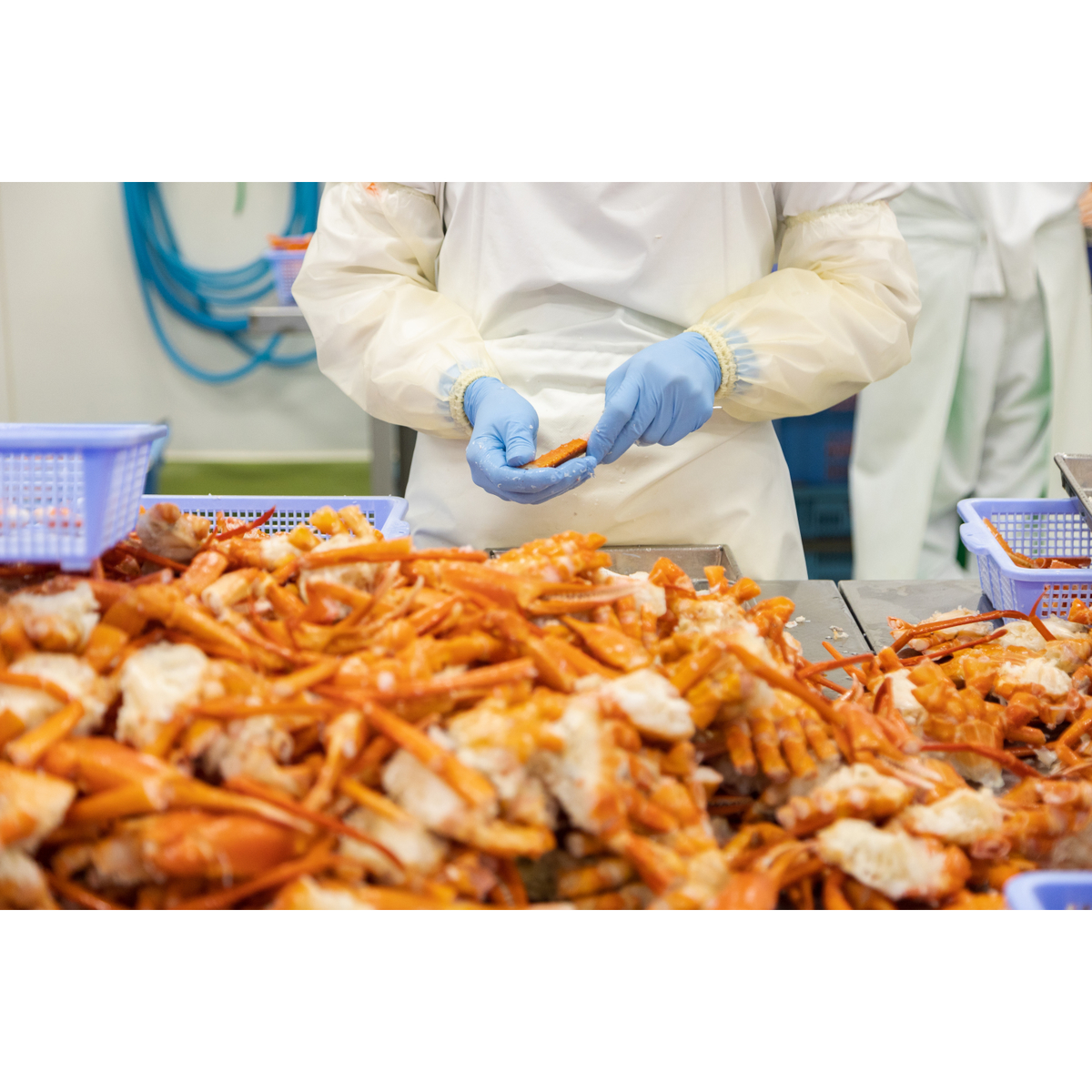 【冷凍】香住ガニ　甲羅めし