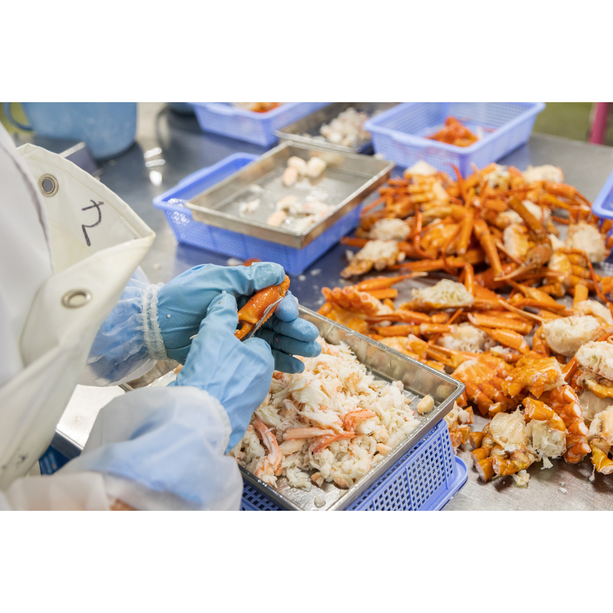 【冷凍】香住ガニ　かに飯の素