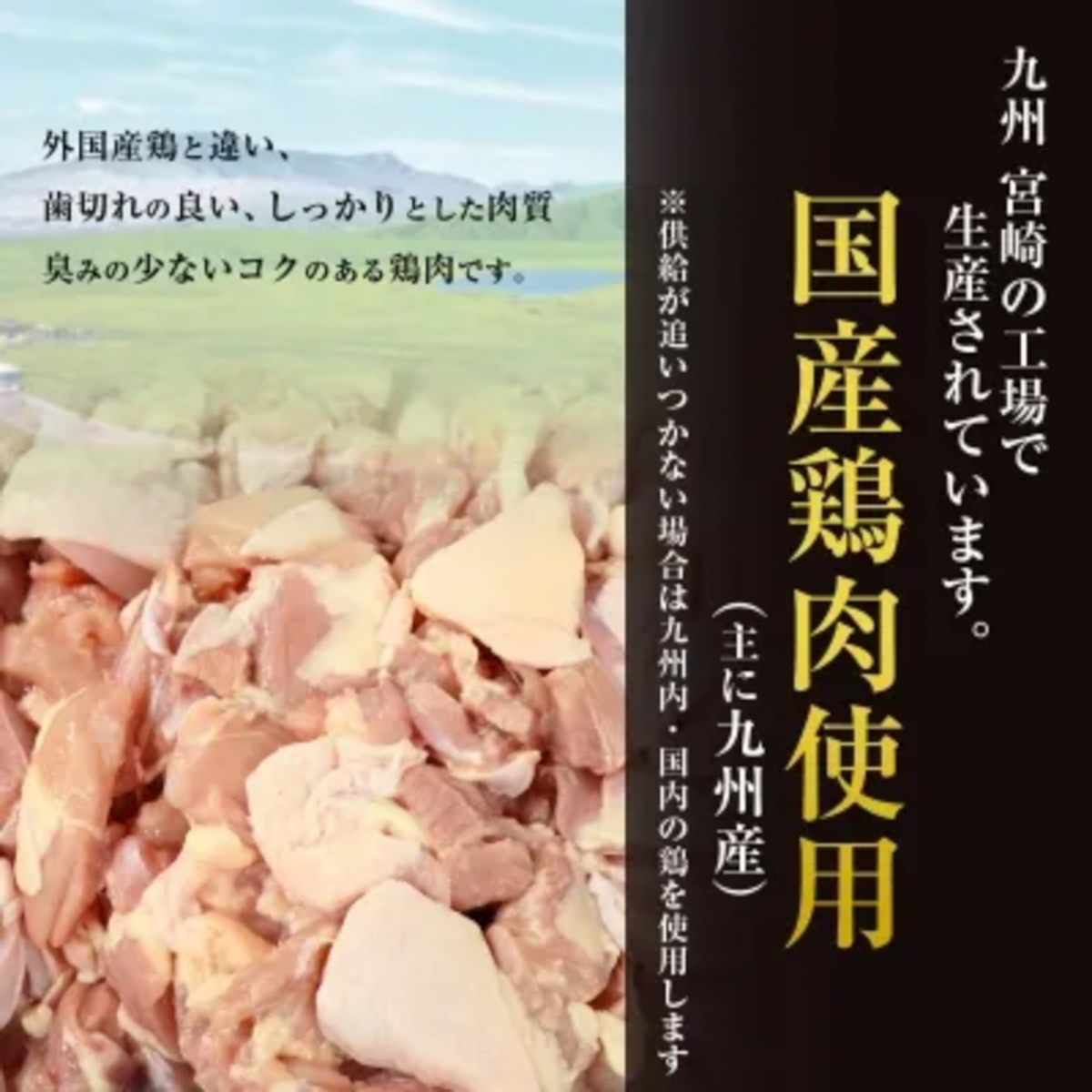 【冷凍】恵屋 旨塩唐揚げ(マスコ)