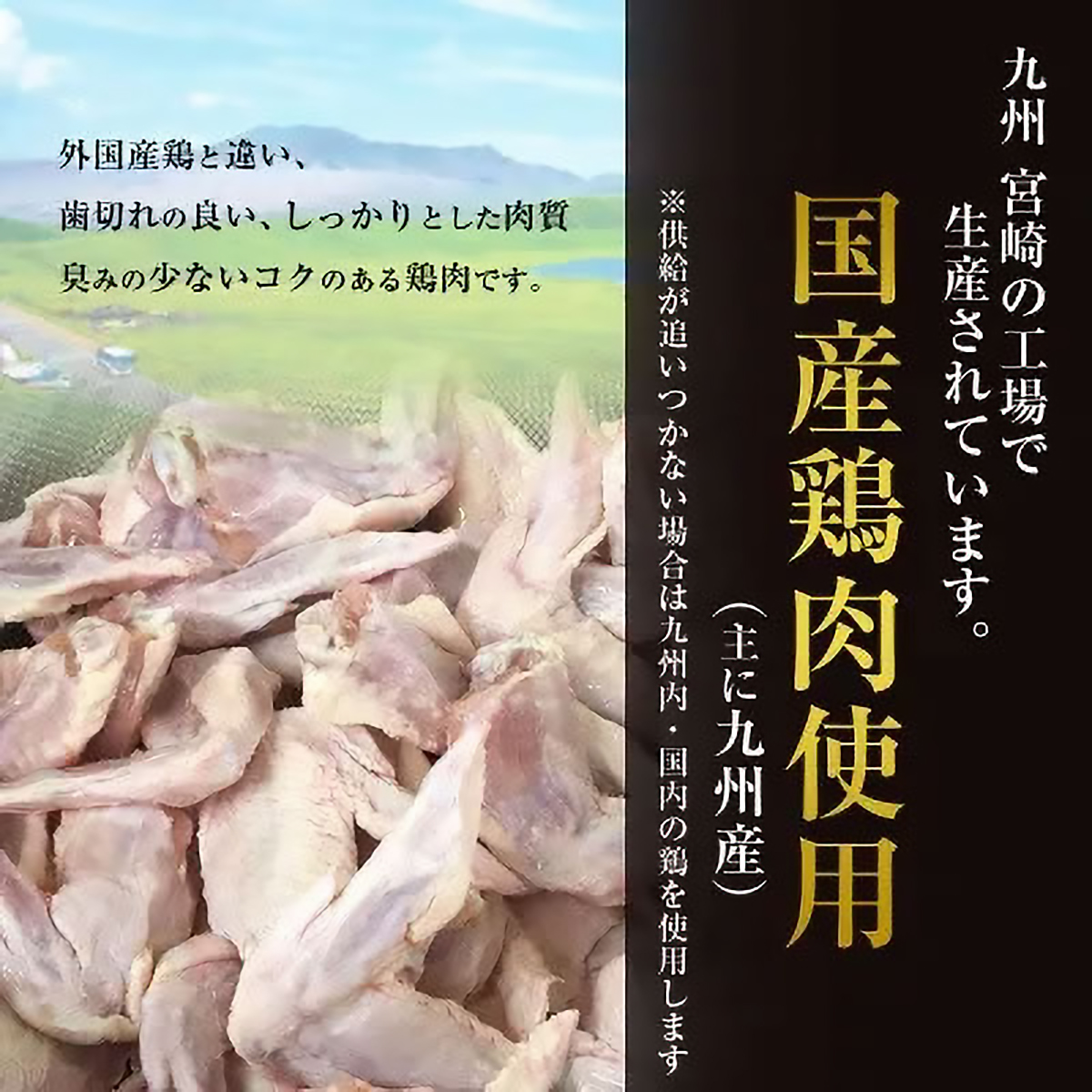 【冷凍】恵屋　手羽唐揚げ5本入り　うす塩旨口味(マスコ)