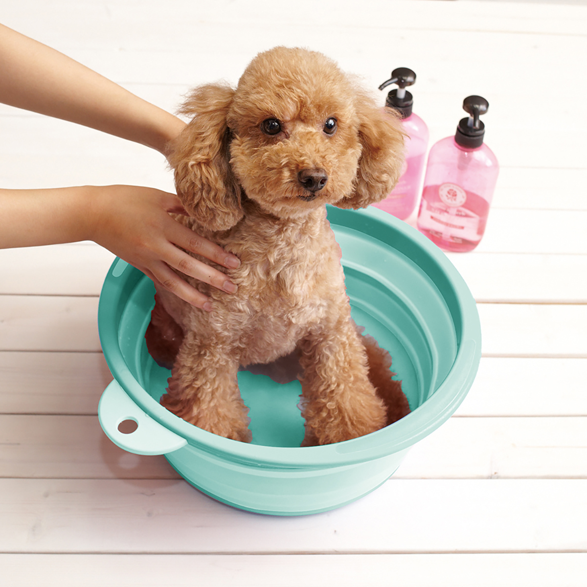 ソフトタブ 折りたたみたらい ミントグリーン