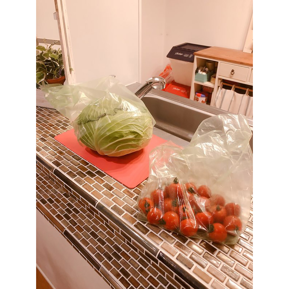 鮮度保存袋 愛菜果L 5枚入