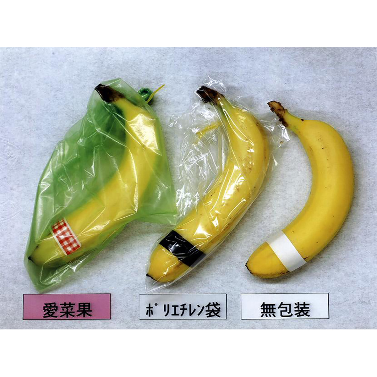 鮮度保存袋 愛菜果L 5枚入