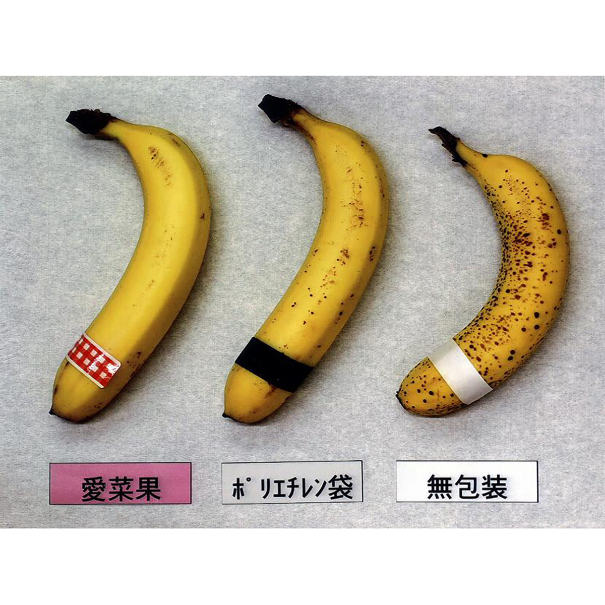 鮮度保存袋 愛菜果L 5枚入