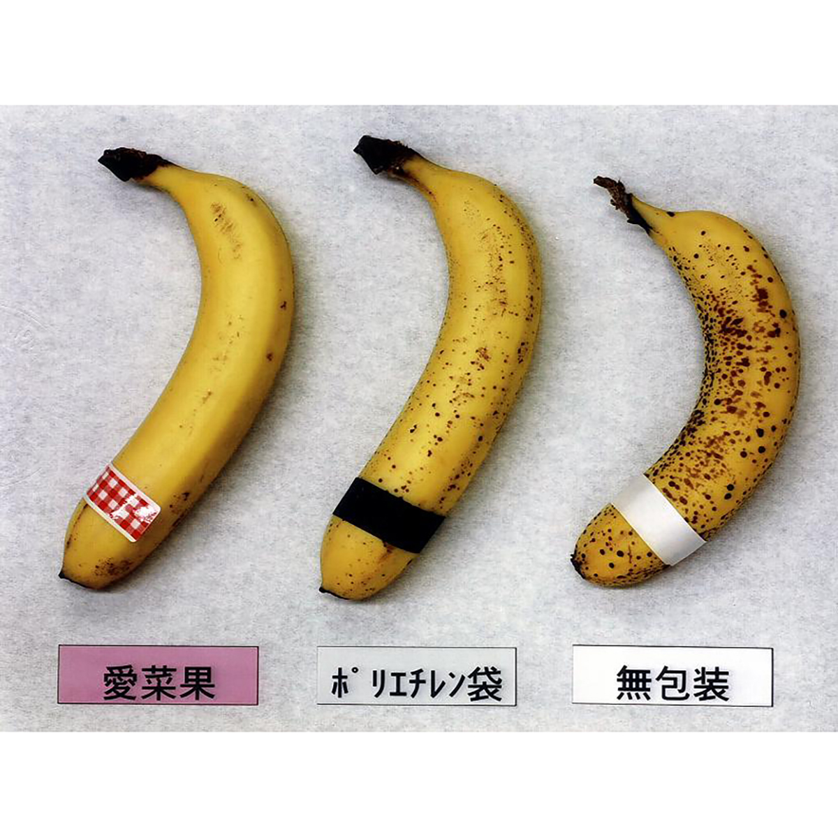 鮮度保存袋 愛菜果L 5枚入
