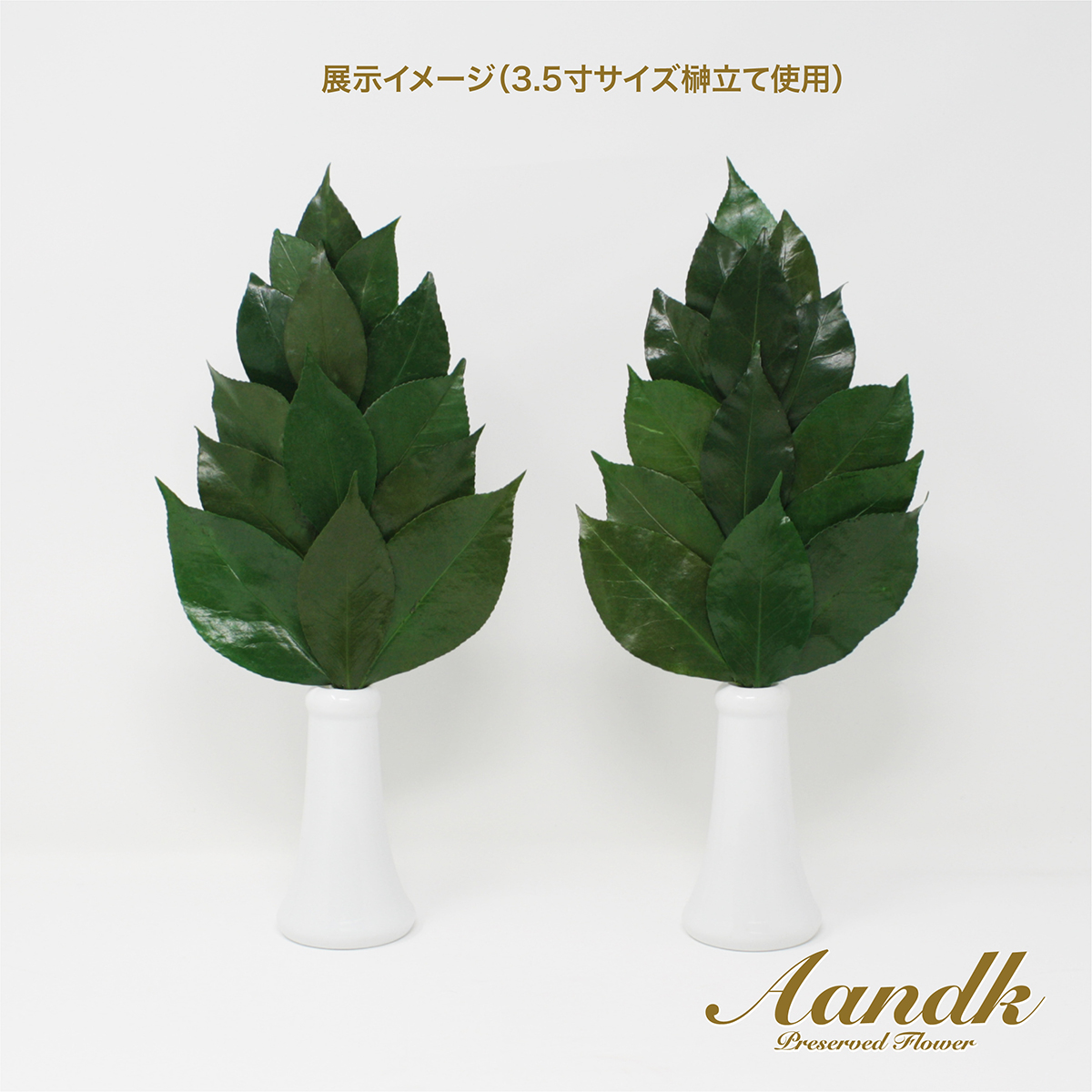 Ａ＆Ｋ　プレミアムプリザーブド榊　Ｍ（１対）