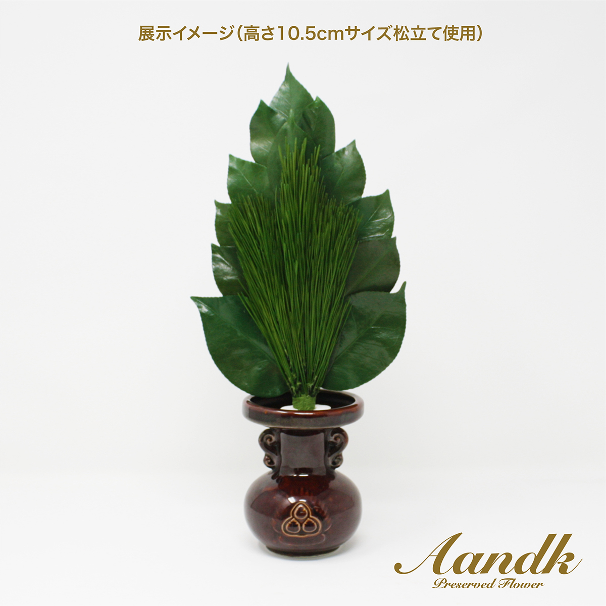 Ａ＆Ｋ　プレミアムプリザーブド荒神松　Ｍ（１束）