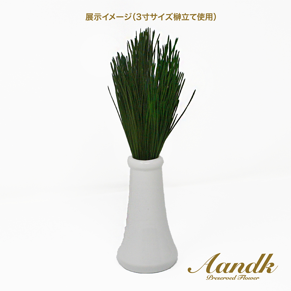 Ａ＆Ｋ　関東式プリザーブド荒神松　Ｓ（１束）