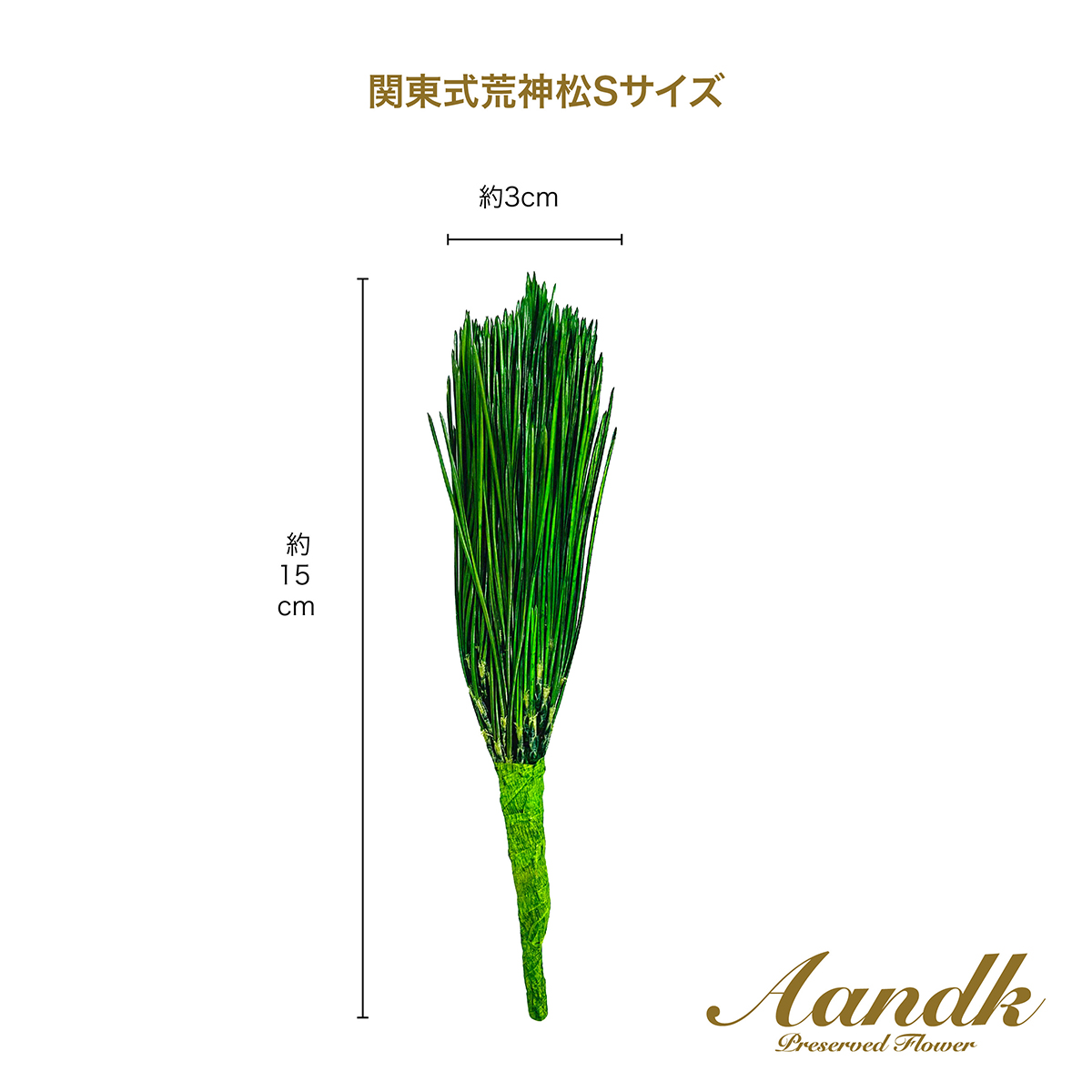 Ａ＆Ｋ　関東式プリザーブド荒神松　Ｓ（１束）