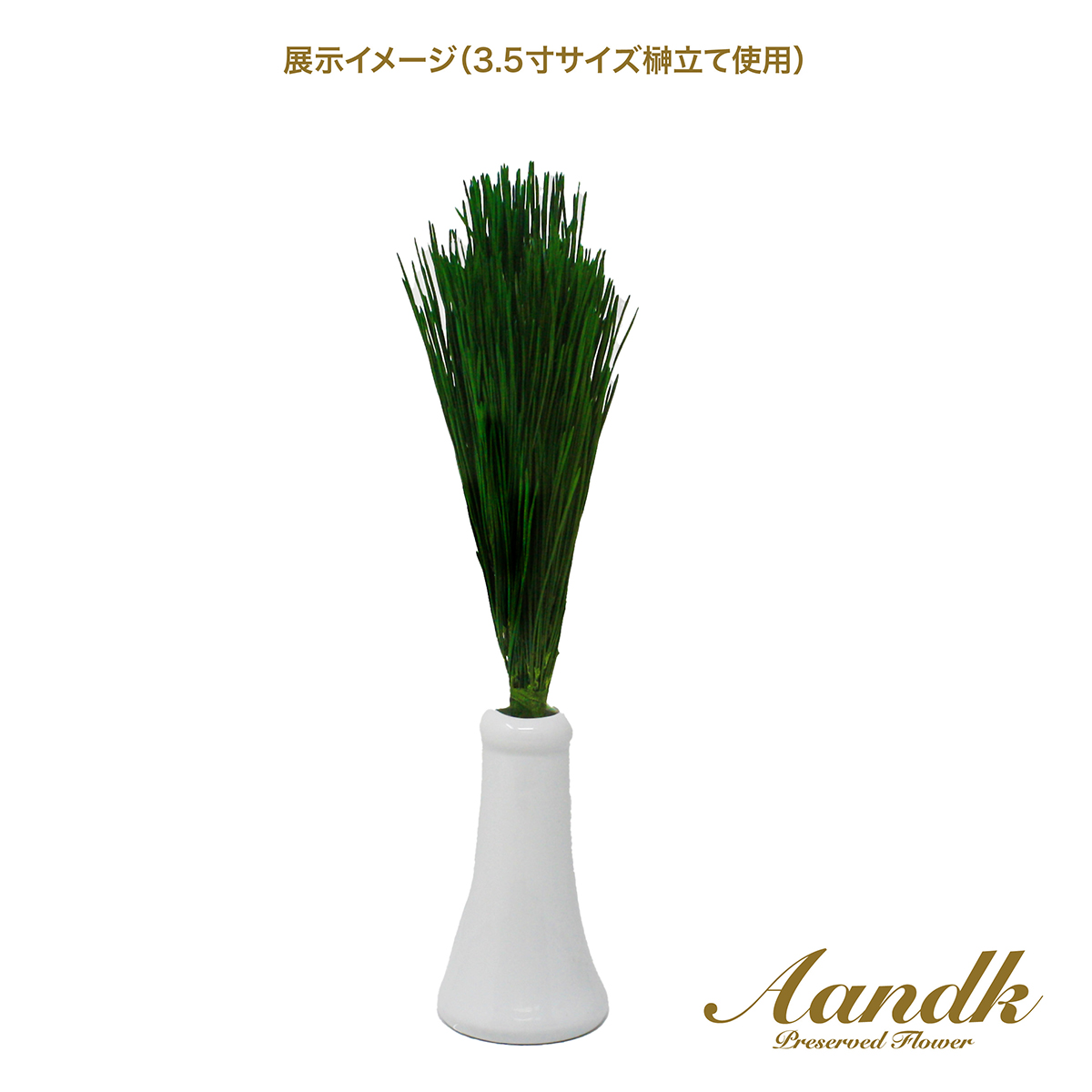 Ａ＆Ｋ　関東式プリザーブド荒神松　Ｍ（１束）